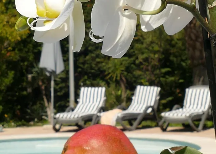 Bed & Breakfast Alessia Antibes