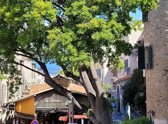 Alessia 4* アンティーブ